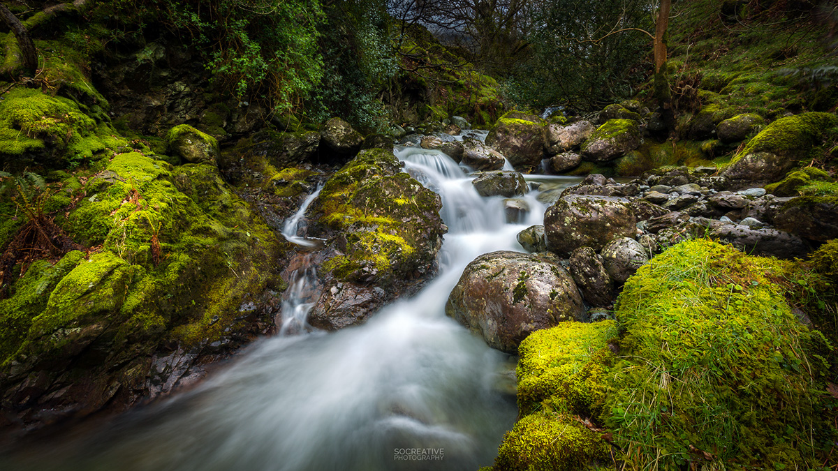 Landscape long exposure enchanted river green forest mountain