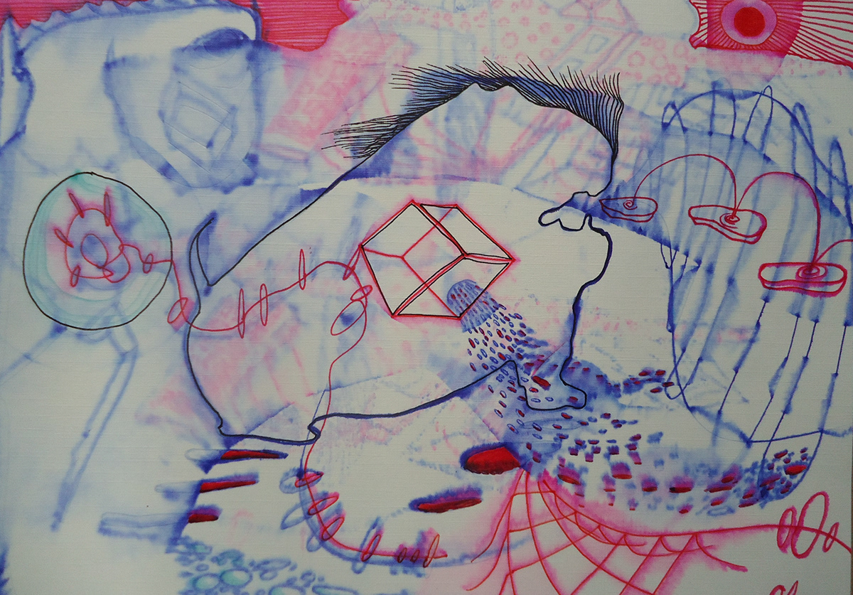 dibujos  arte plasticas  ilustración mauricio paz viola