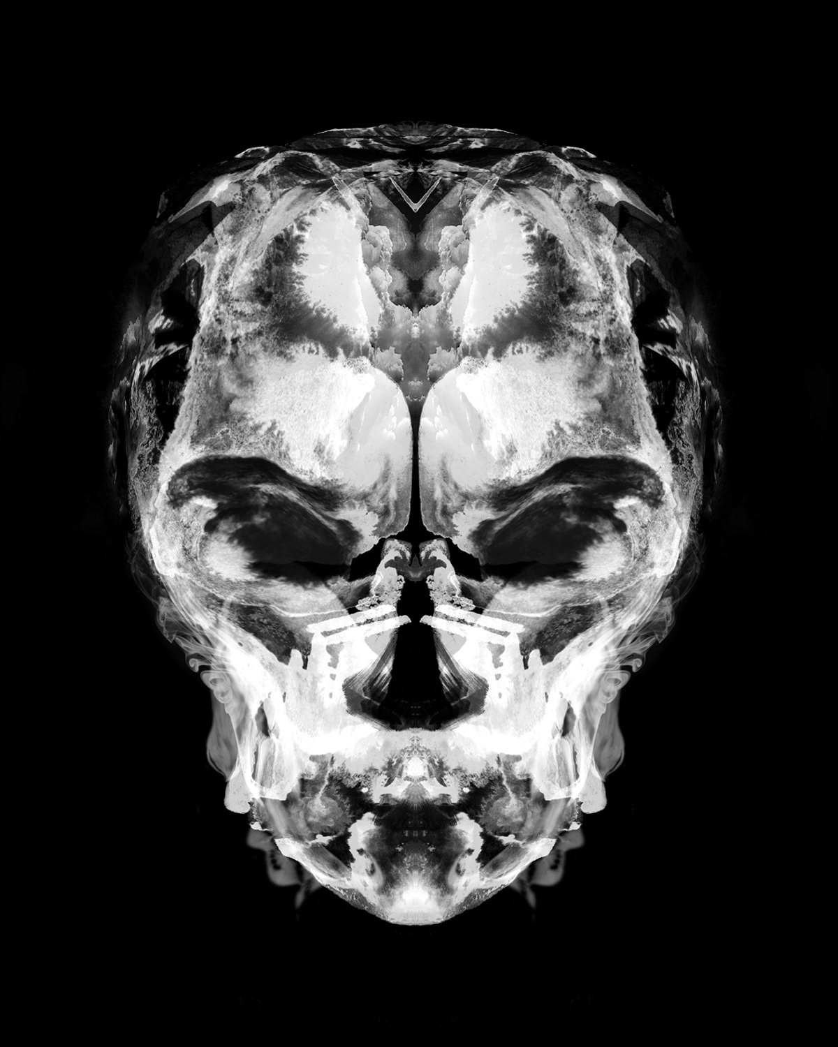 A mirrored x-ray skull of an ape. This face is apart of the Animus inkblot test series.