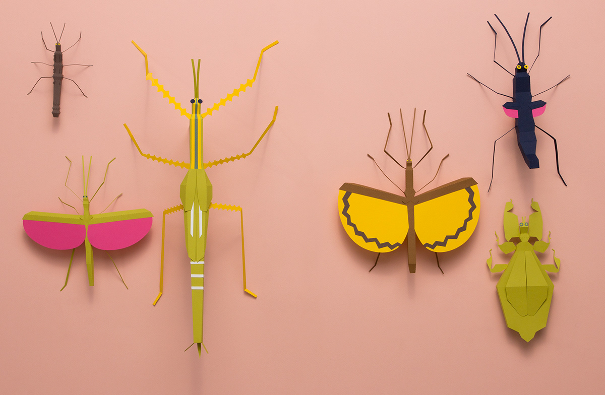 ILLUSTRATION  insect papercraft illustration