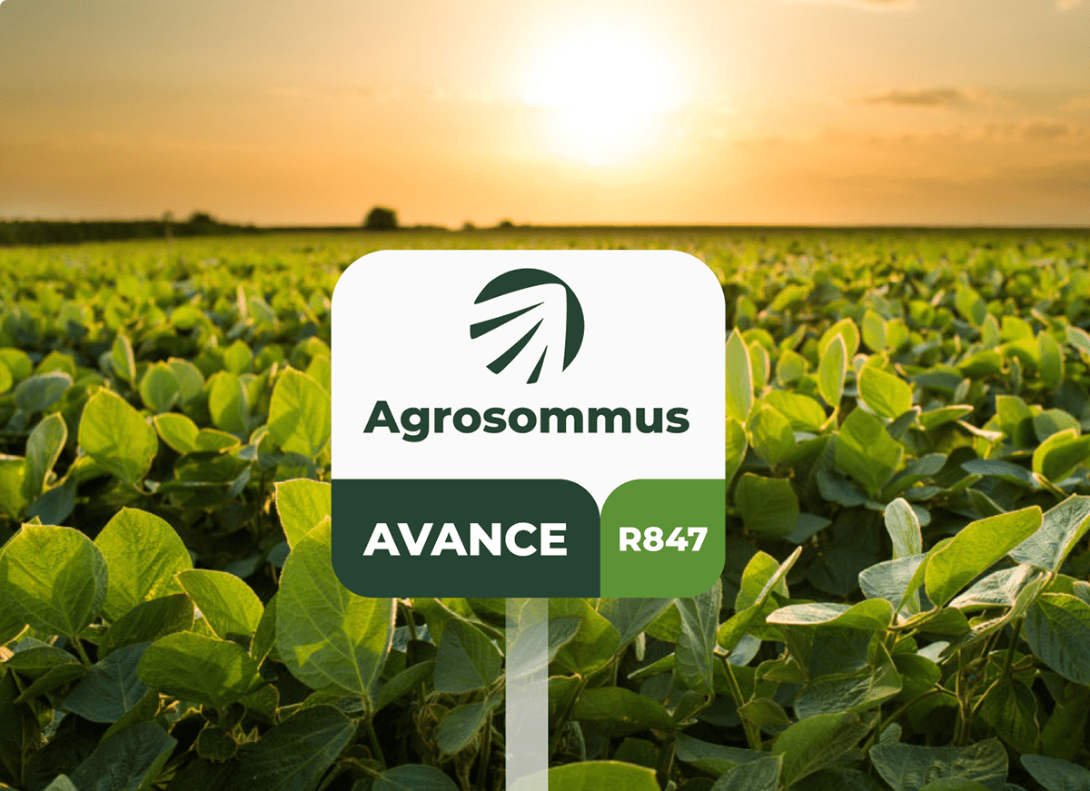 agriculture Agro Brand Design design farm identity