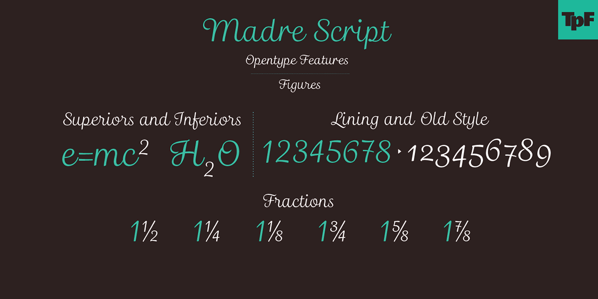 banner banners Layout Typeface Madre Script Script Matheus Fragoso typefolio Marconi Lima tipografia type