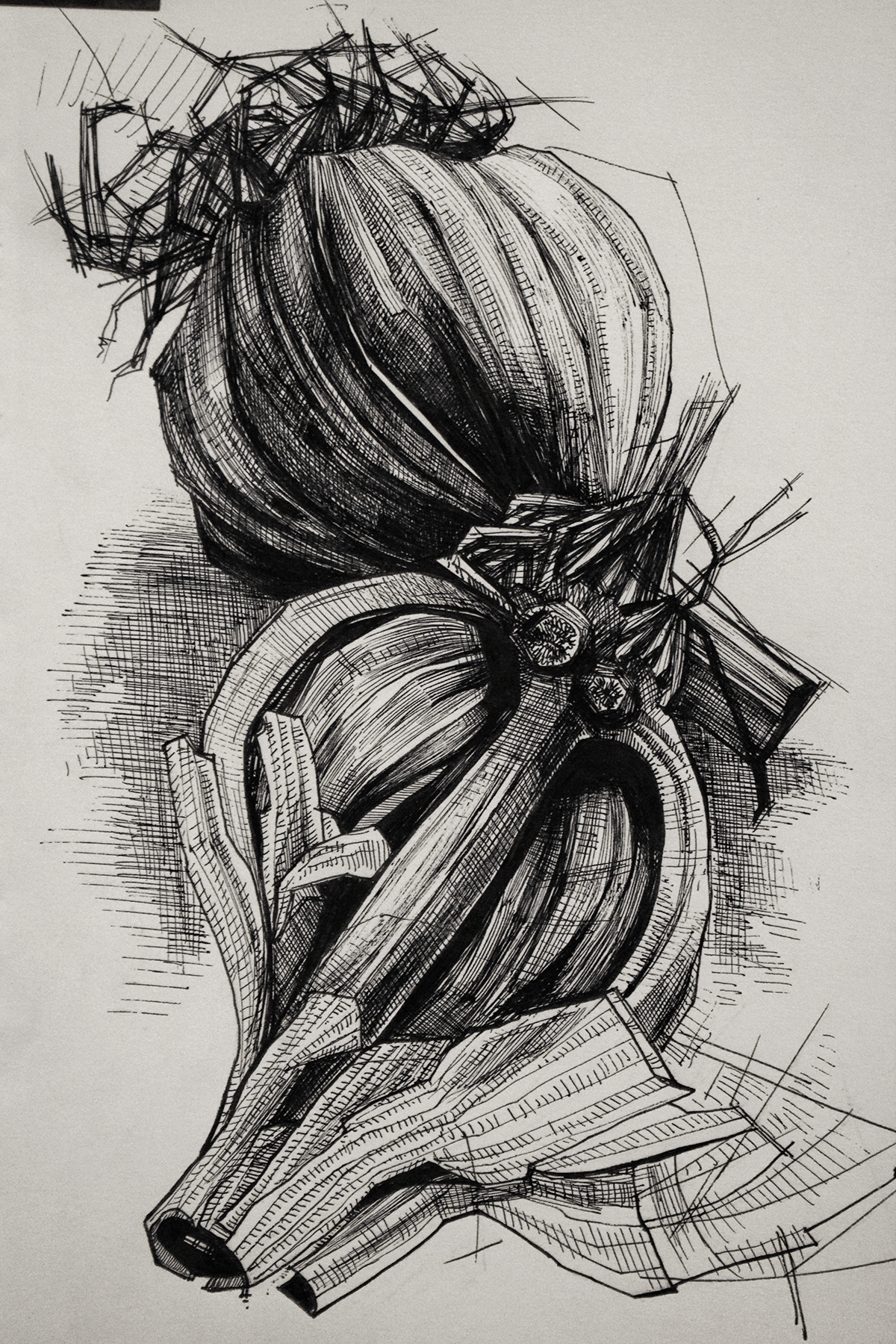 Drawing  Fine Arts  Garlic ink Art ink drawing ink sketch inktober Pencil drawing pencil sketch sketch