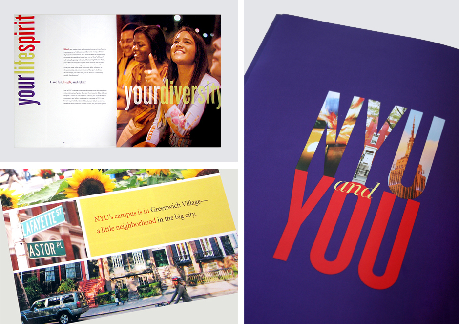 admission brochures University folder design print design  graphic design  Layout typography   recruitment announcement