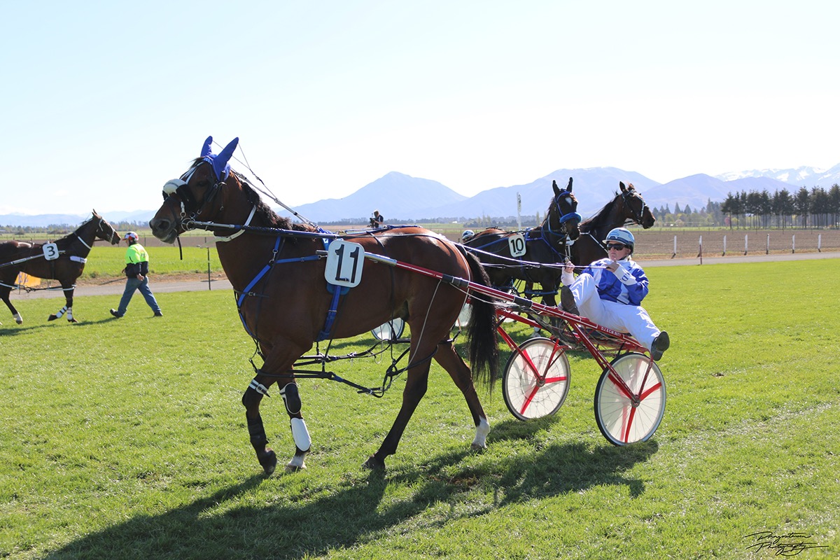 Family Day Out race day harness racing methven New Zealand NZ south island interesting outside Fun environmental Sol Vida