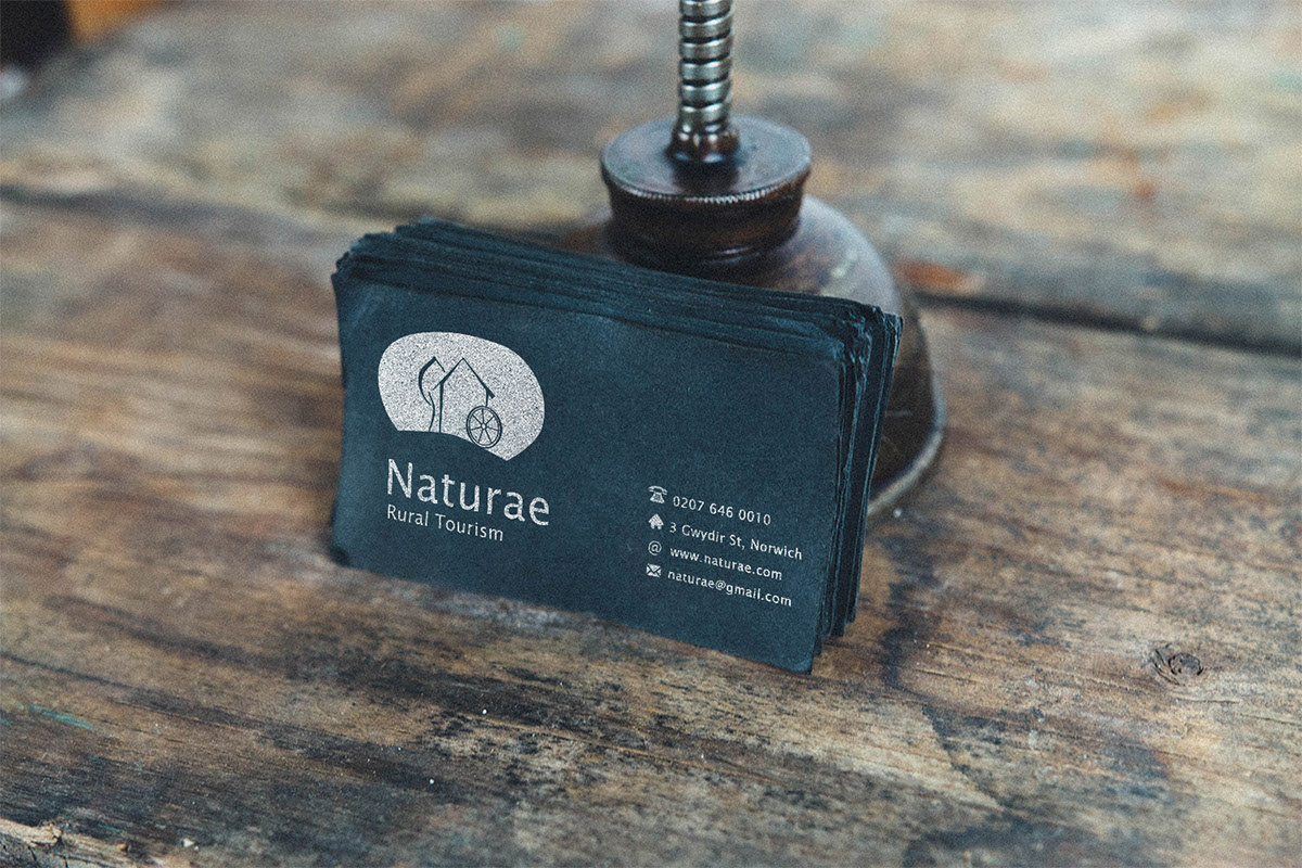 #nature #rural #tourism #naturae #Logo #webdesign