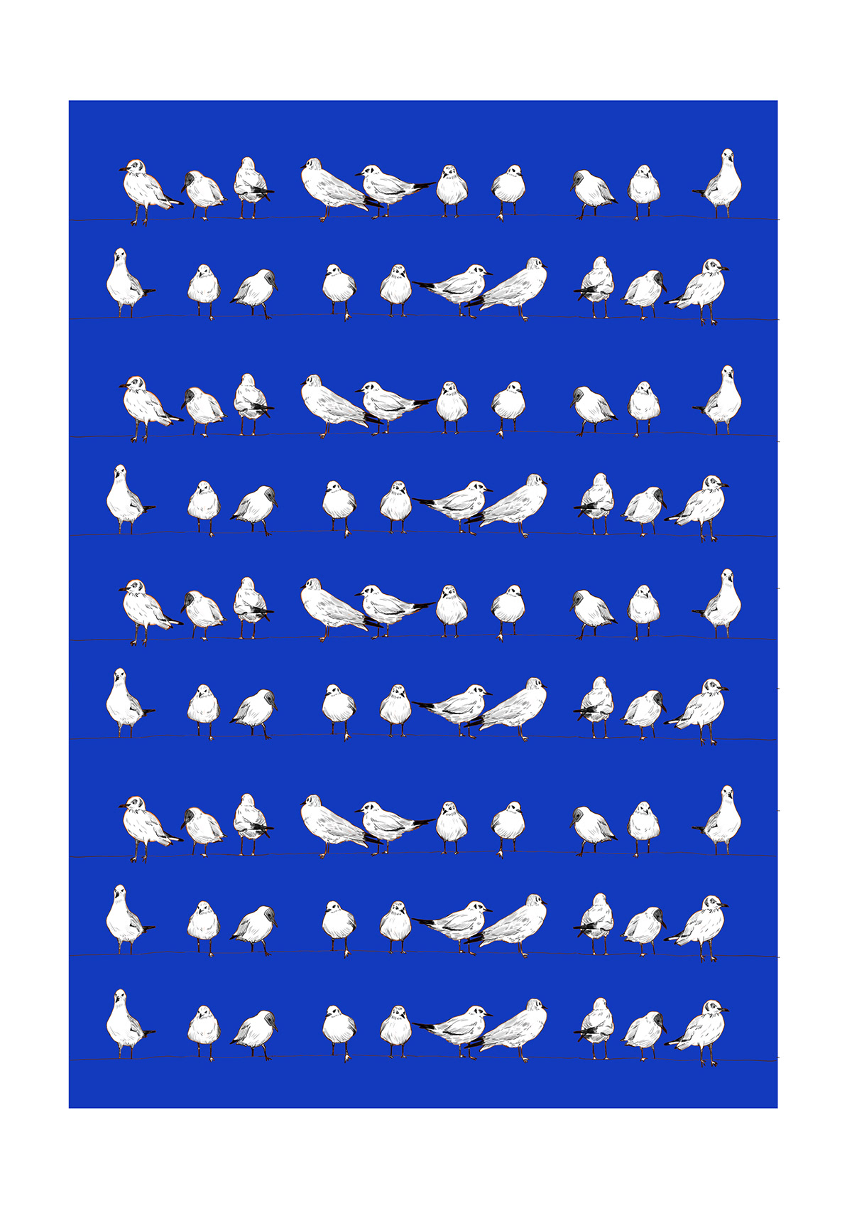 illustrated seagull bath bird pattern repeating pattern hand drawn orange blue DeathFromAbove seabird