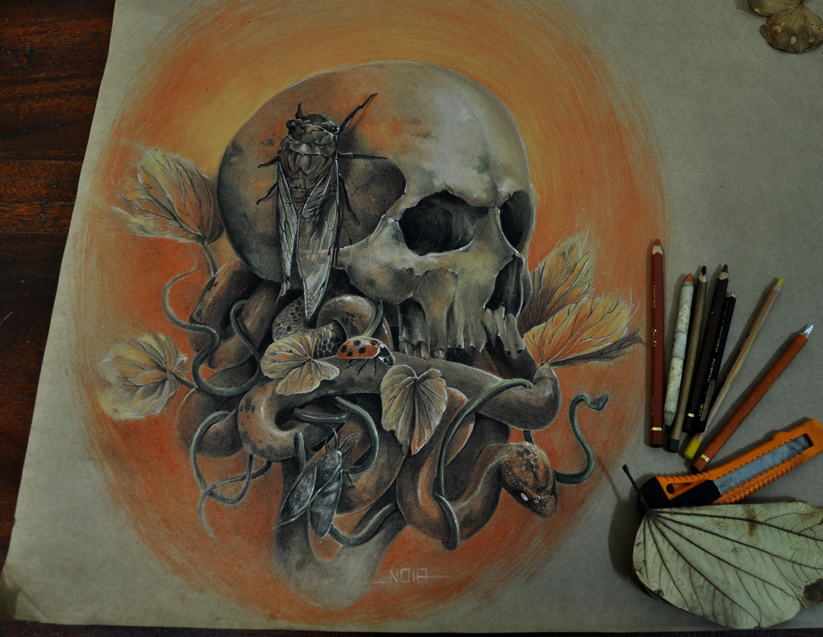 skull Skull art pastel pencils color pencil cicada noia noiaillustration