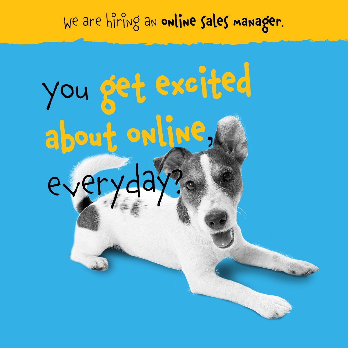 dog job Njuskalo colors vibrant Fun