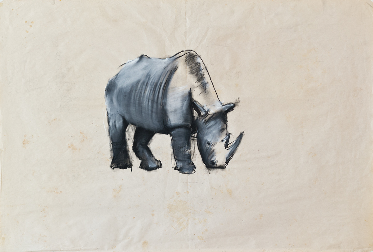 Rhino self-portrait Appropriation