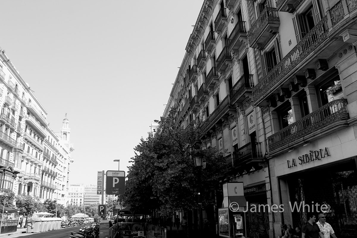 barcelona sculpture statues Street scene Landscape modernism avante-garde b+w black White cathedral spain Gaudi life