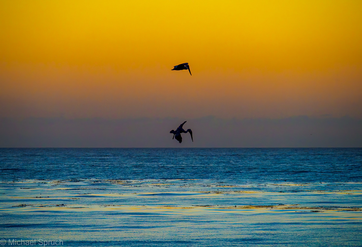 bagpipe California carmel pelicans seascape sunset