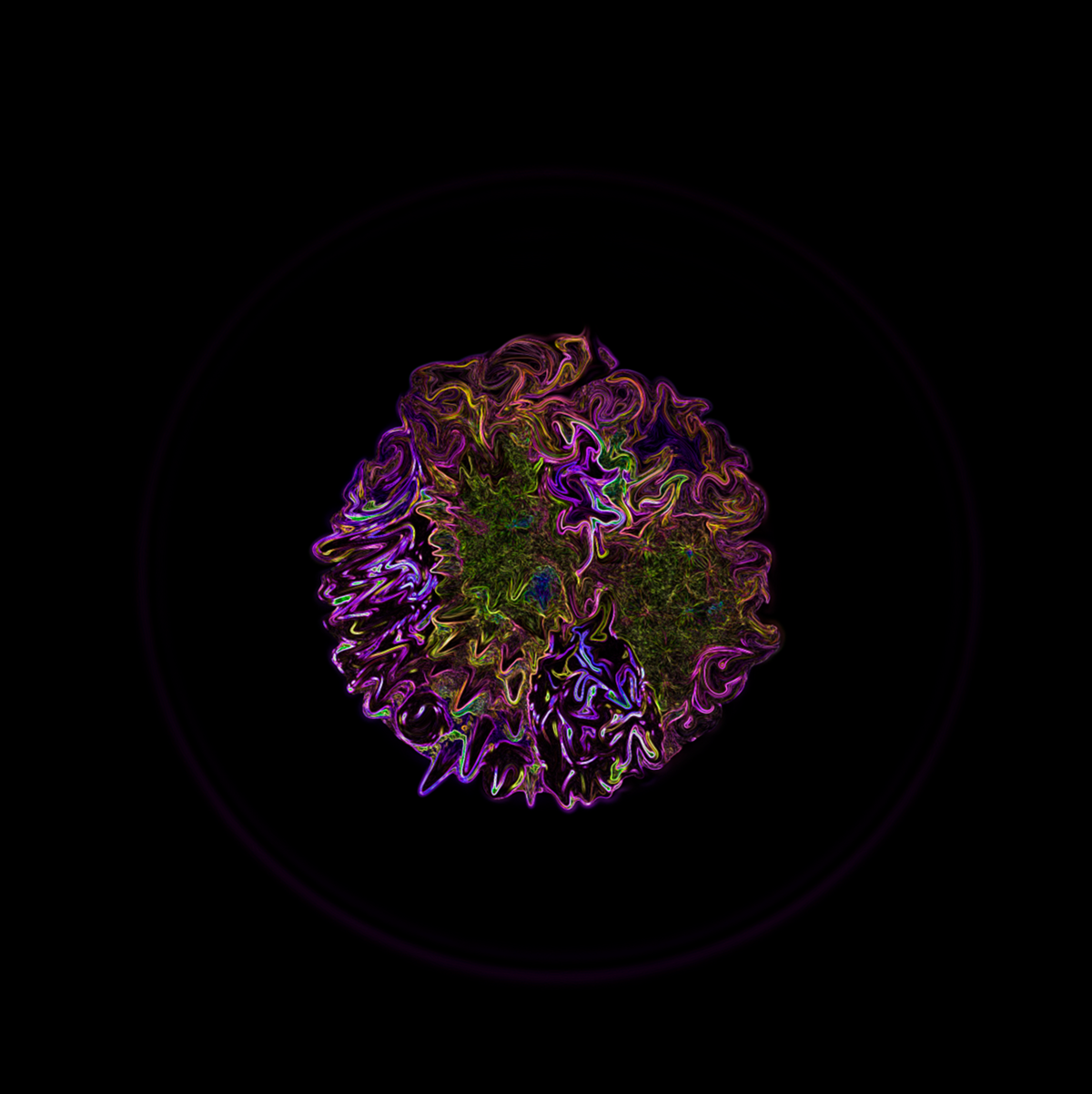 cellular drawing microscopy UV fluorescent ROBBIE ANSON DUNCAN rad symbiodinium marine inspired