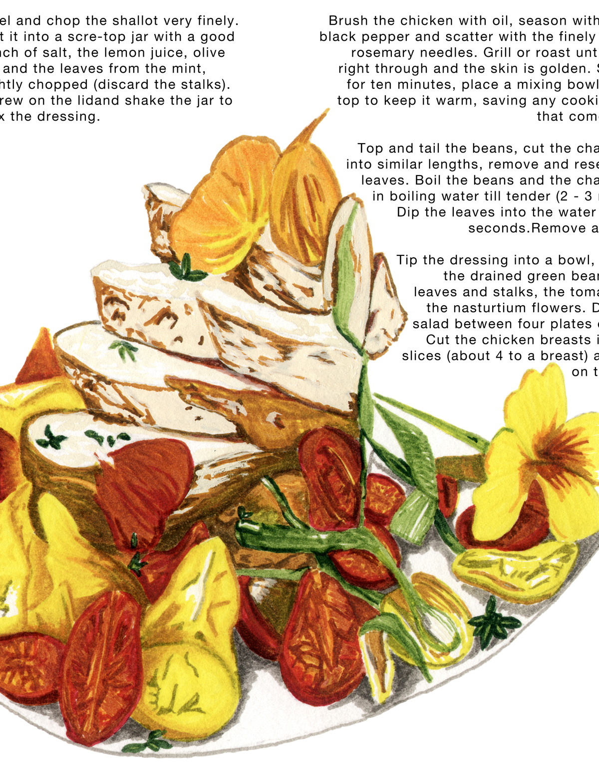 grow FMP university work print Seed Packet  leaflet  flowers   vegetables