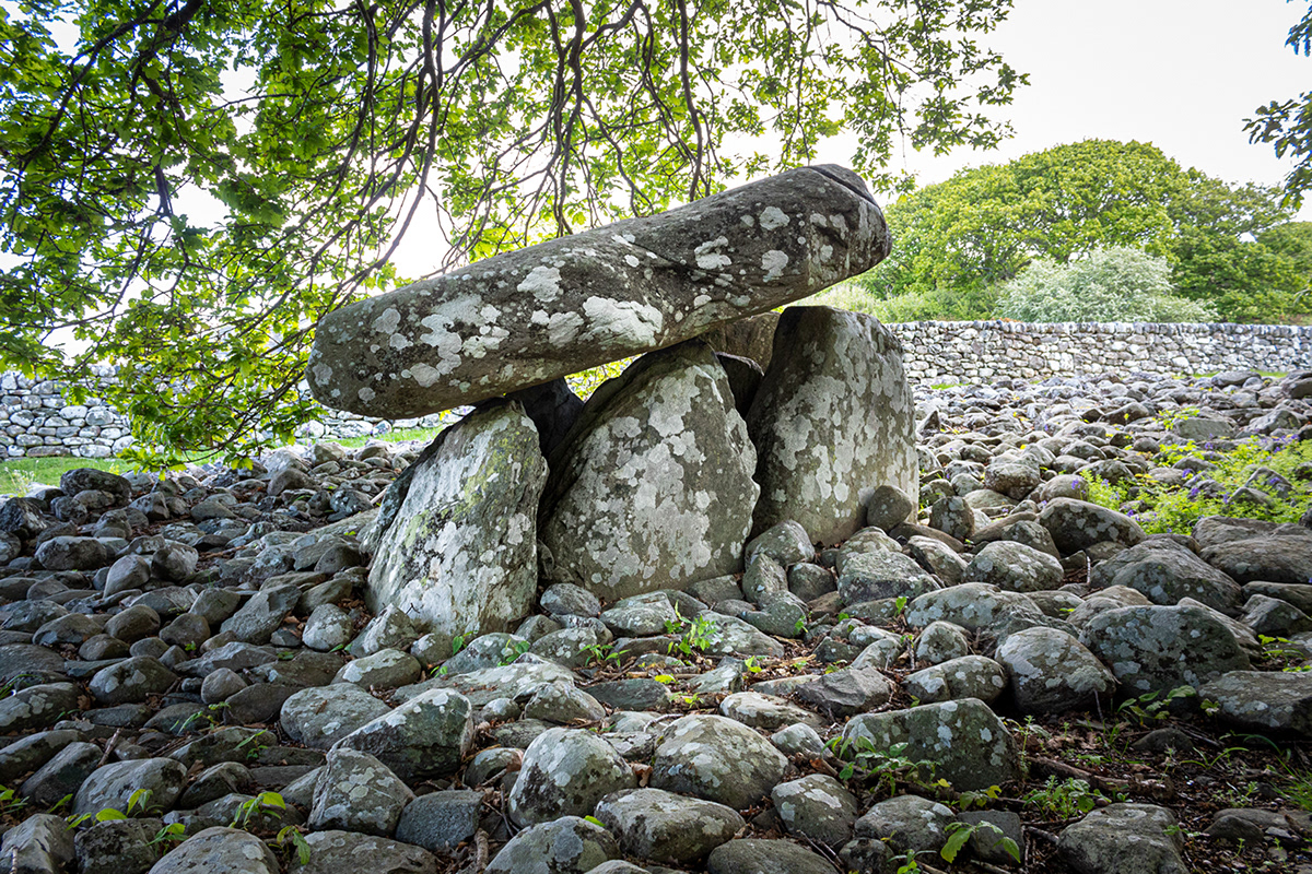 Dyffryn Ardudwy

Neolithic burial site - Western Dolmen