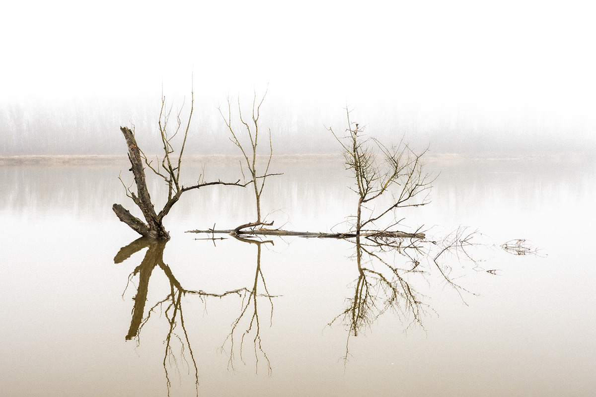 Landscape Nature Travel Photography  lightroom river Wisła poland fog
