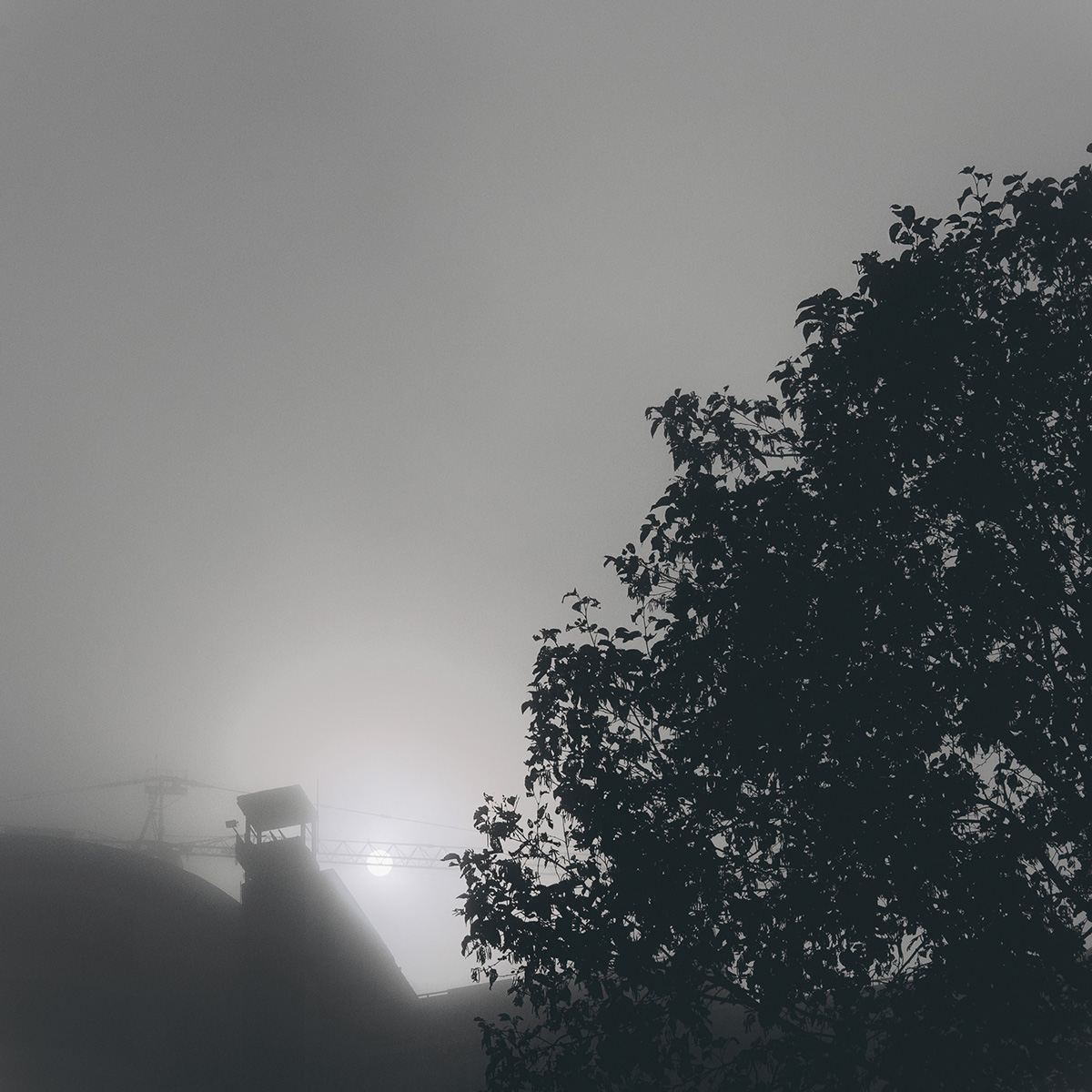 fog city industry Tree  silence