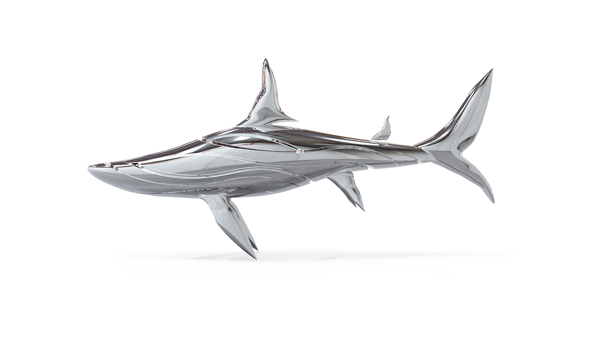 Form from nature shark 3d modeling