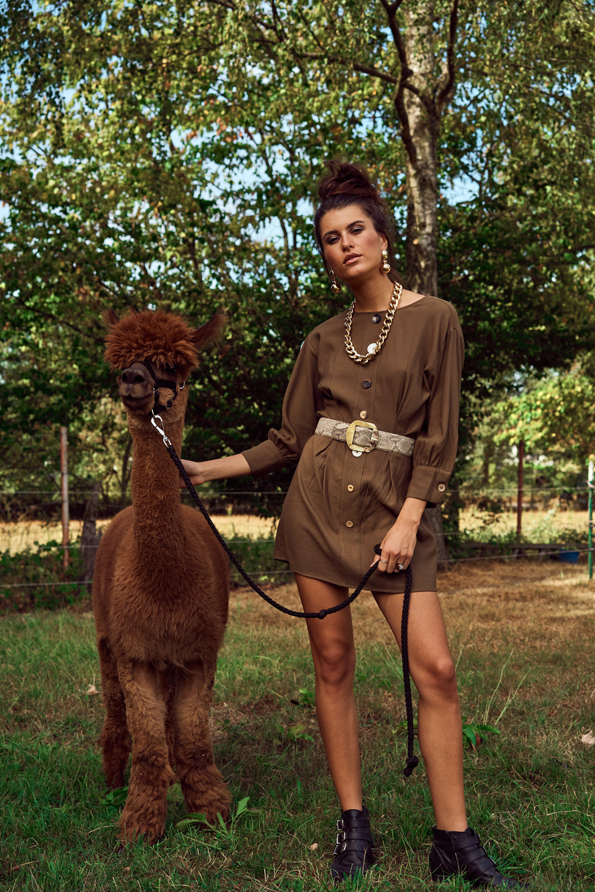 Photography  alpaca alpaka Fashion  fashionshoot editorial