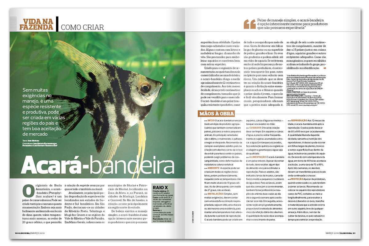 Hoje é dia do Pantanal - Revista Globo Rural