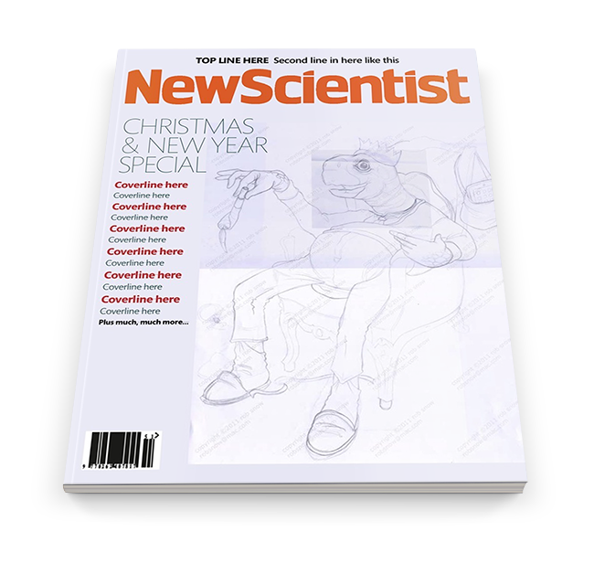new scientist ant tortoise bee Hedgehog Nature rob snow magazine spread art drawings pencil