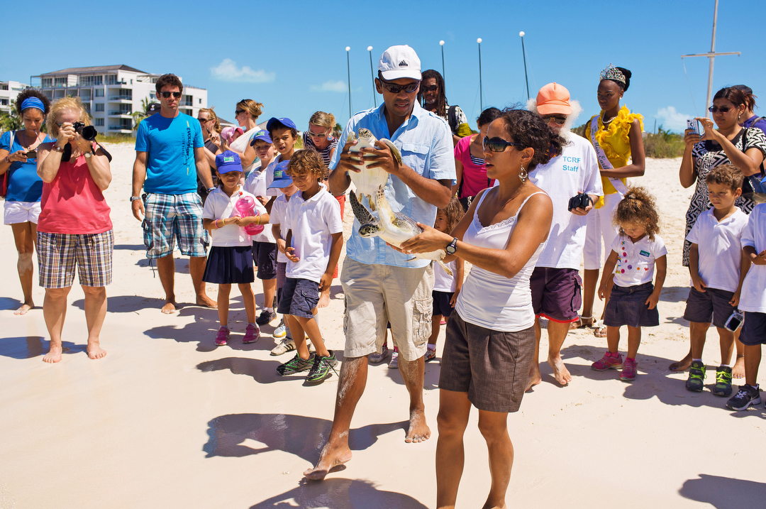 Ecology Nature conservation turks and caicos