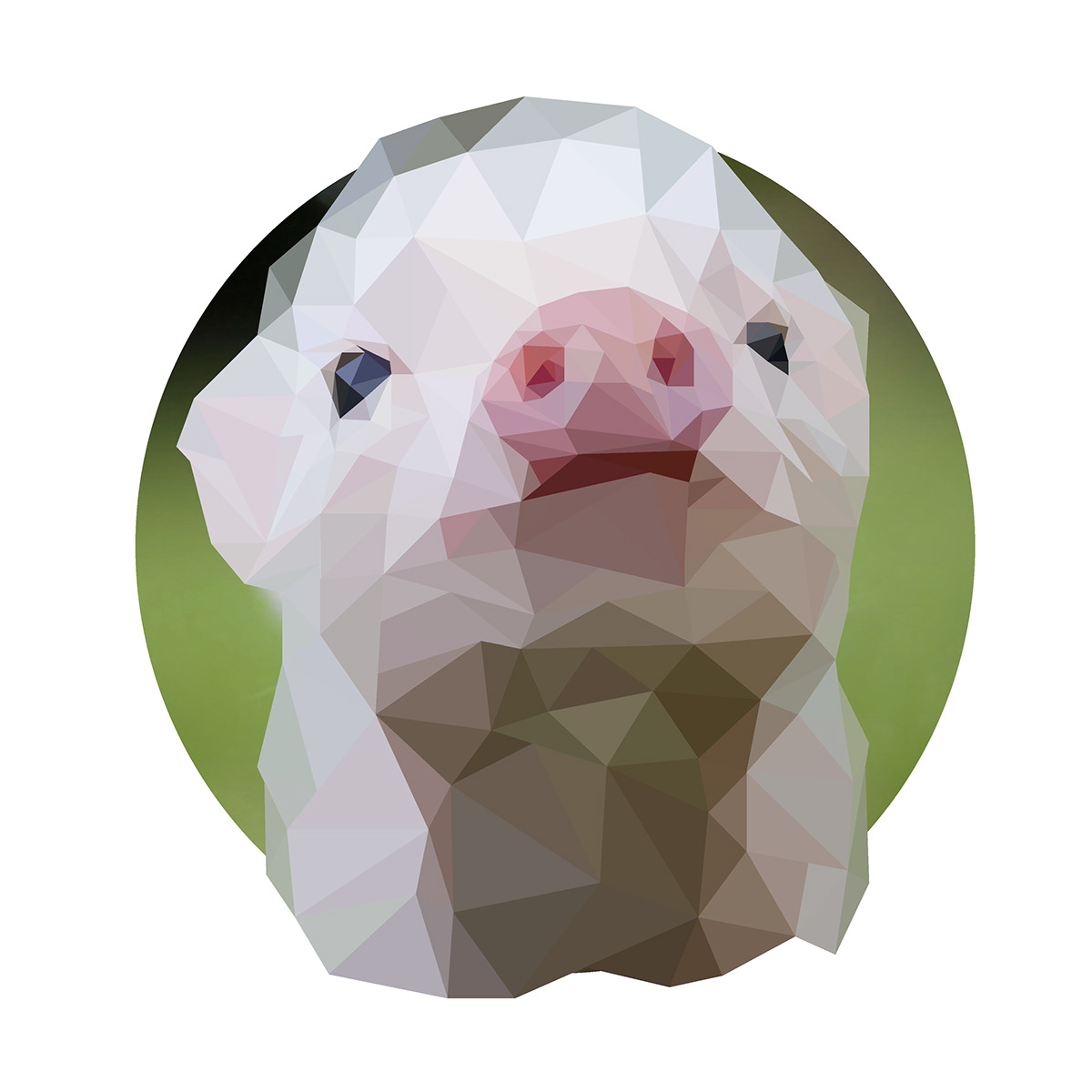 Low Poly pig LOW poly pink cute