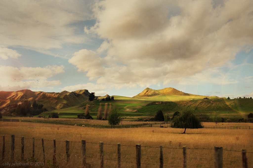 rail  train railway New Zealand Landscape romantic landscape romance rural