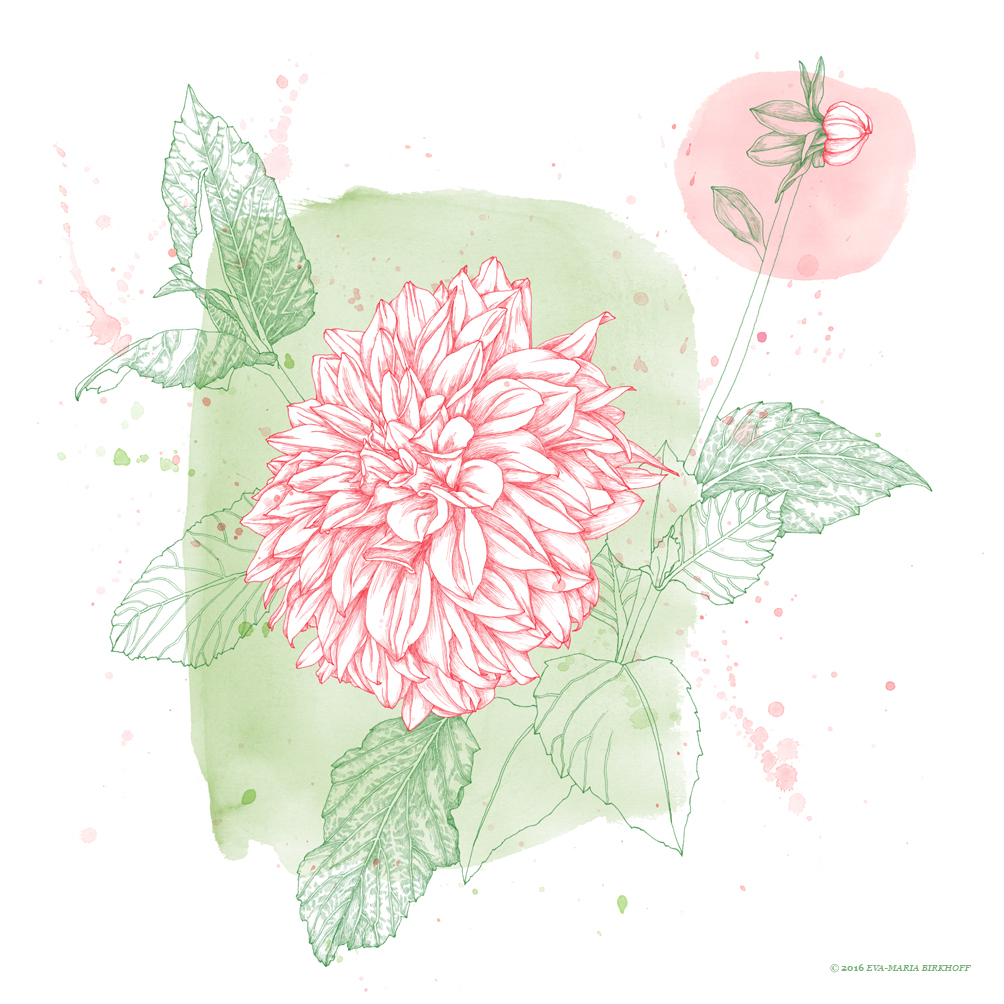 editorial-illustration Natur-Illustration watercolor flower Nature