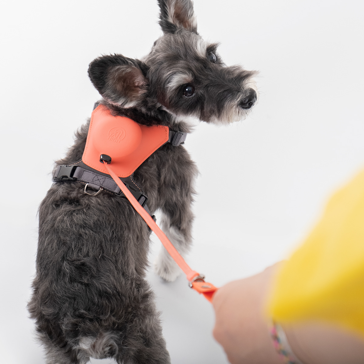 bkid design dog harness industrial Pet product