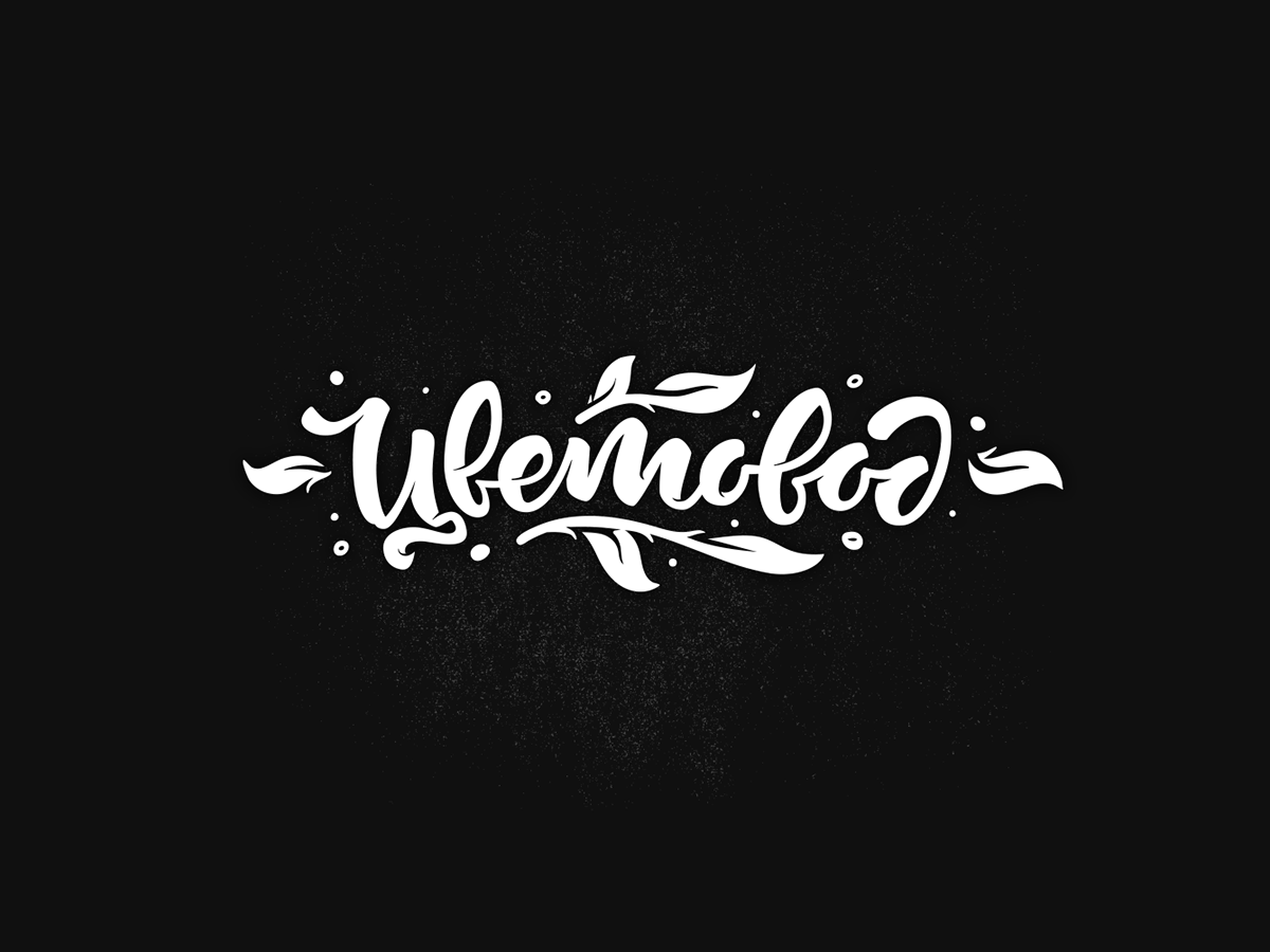 lettering Calligraphy   typography   typemate custom type type letters HAND LETTERING logo Compilation