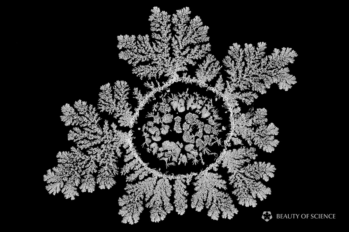 crystallization chemistry Photography  crystals time-lapse Envisioning Chemistry experimental Documentary 