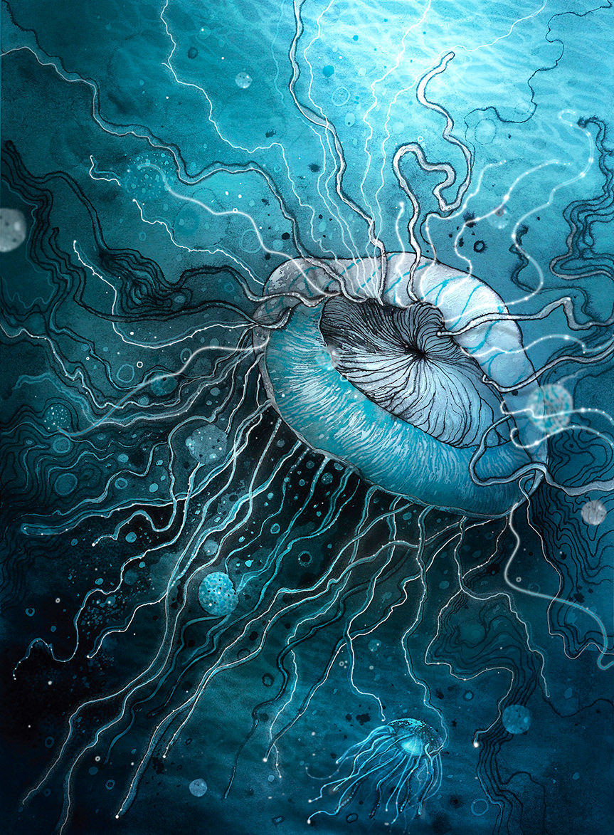 painting   Drawing  digital illustration art digital mar Medusas profundidad photoshop acuarelas