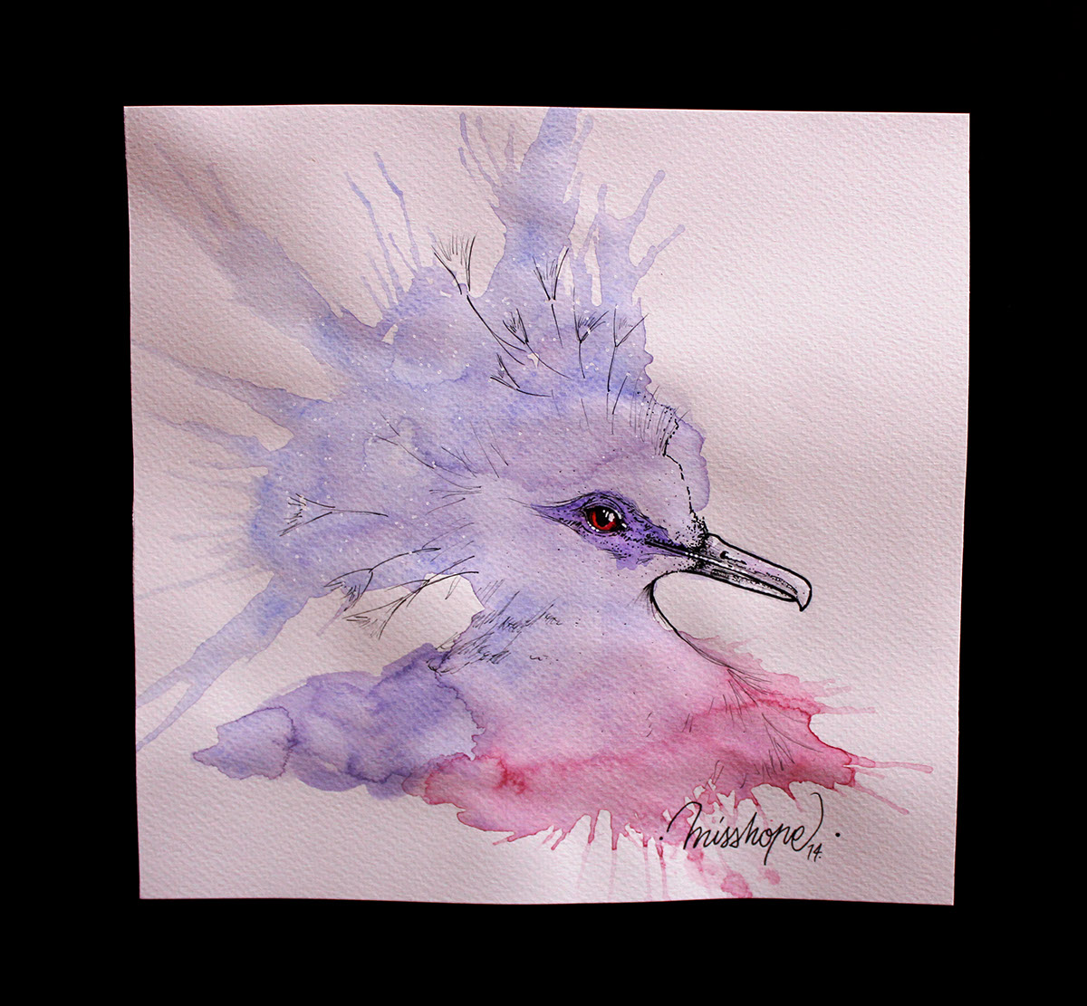 exotic bird animal artwork watercolorwork watercolors art lineart misshope