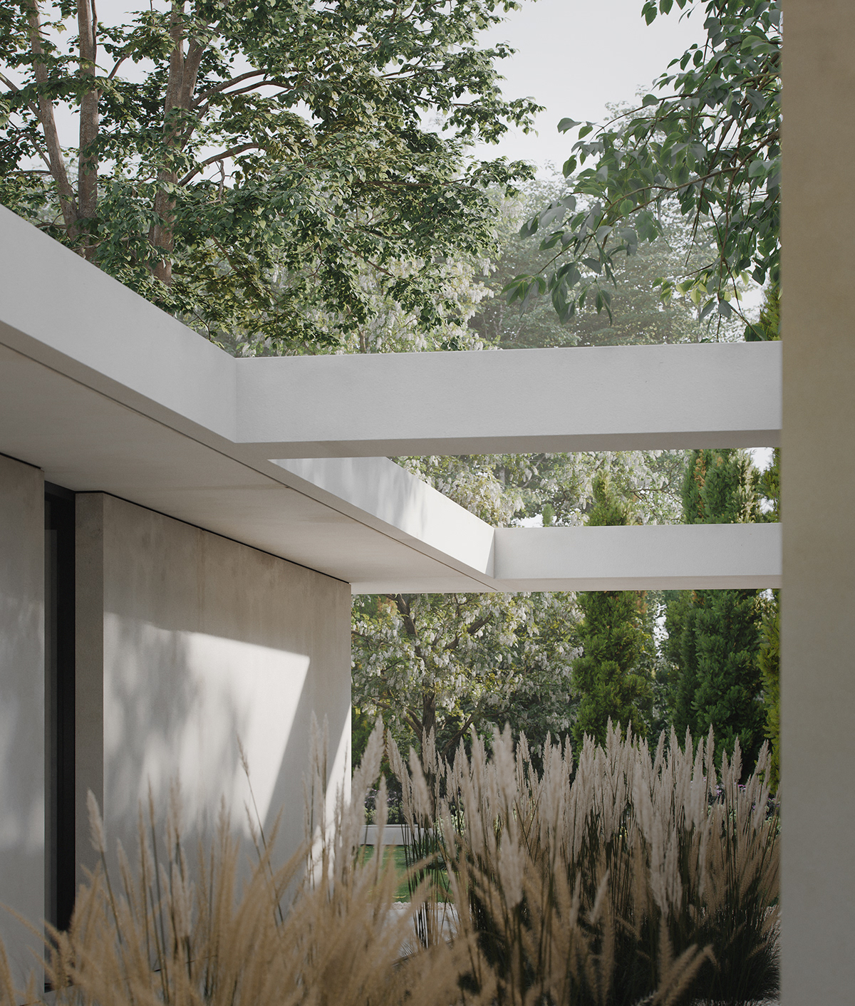 3D architecture archviz contemporary house interior design  minimal modern
