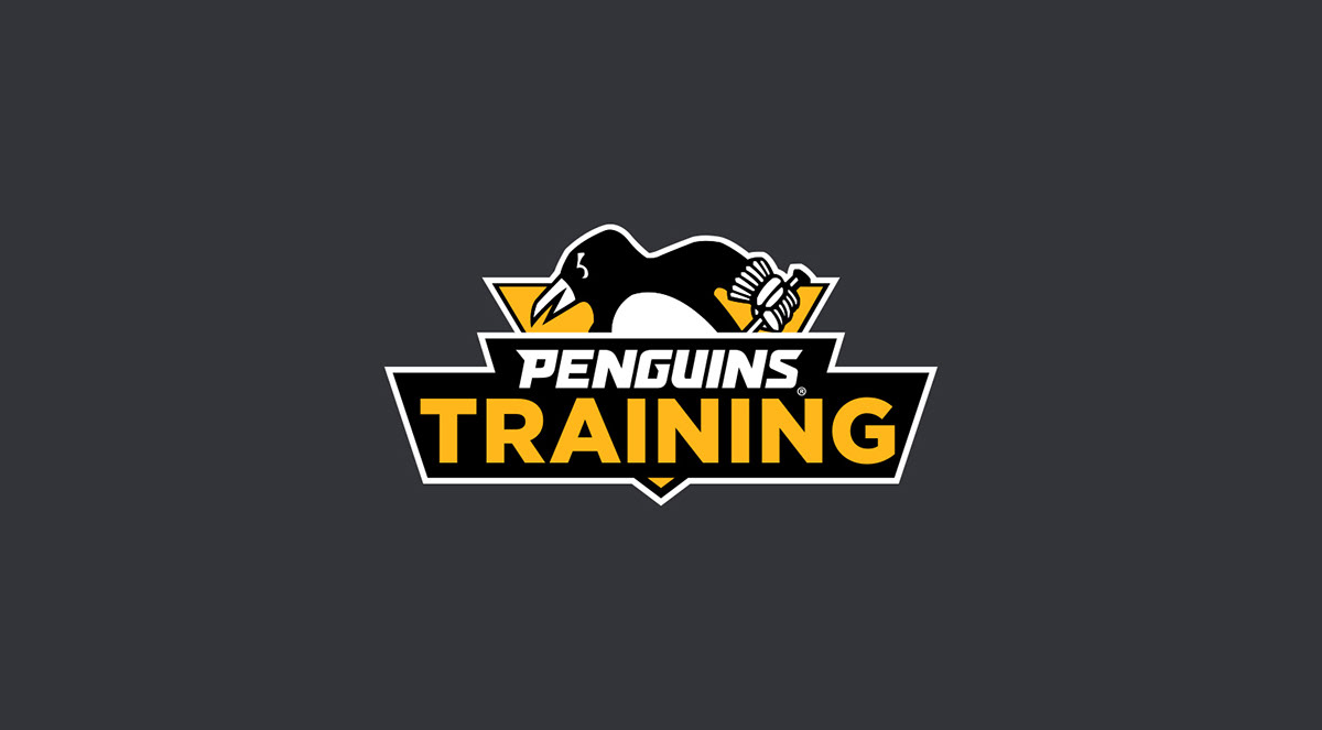 logos branding  NHL hockey Pittsburgh penguins