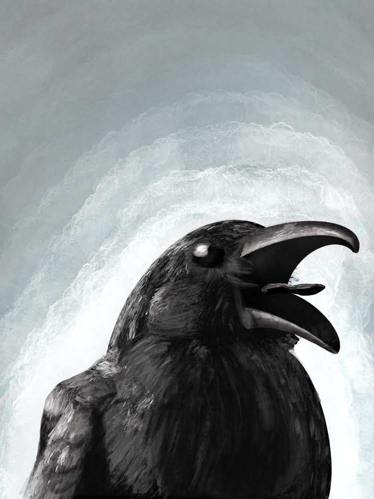animal Digital Art  Drawing  ipad pro painting   pets birds crow digital dog dogs Nature sketch