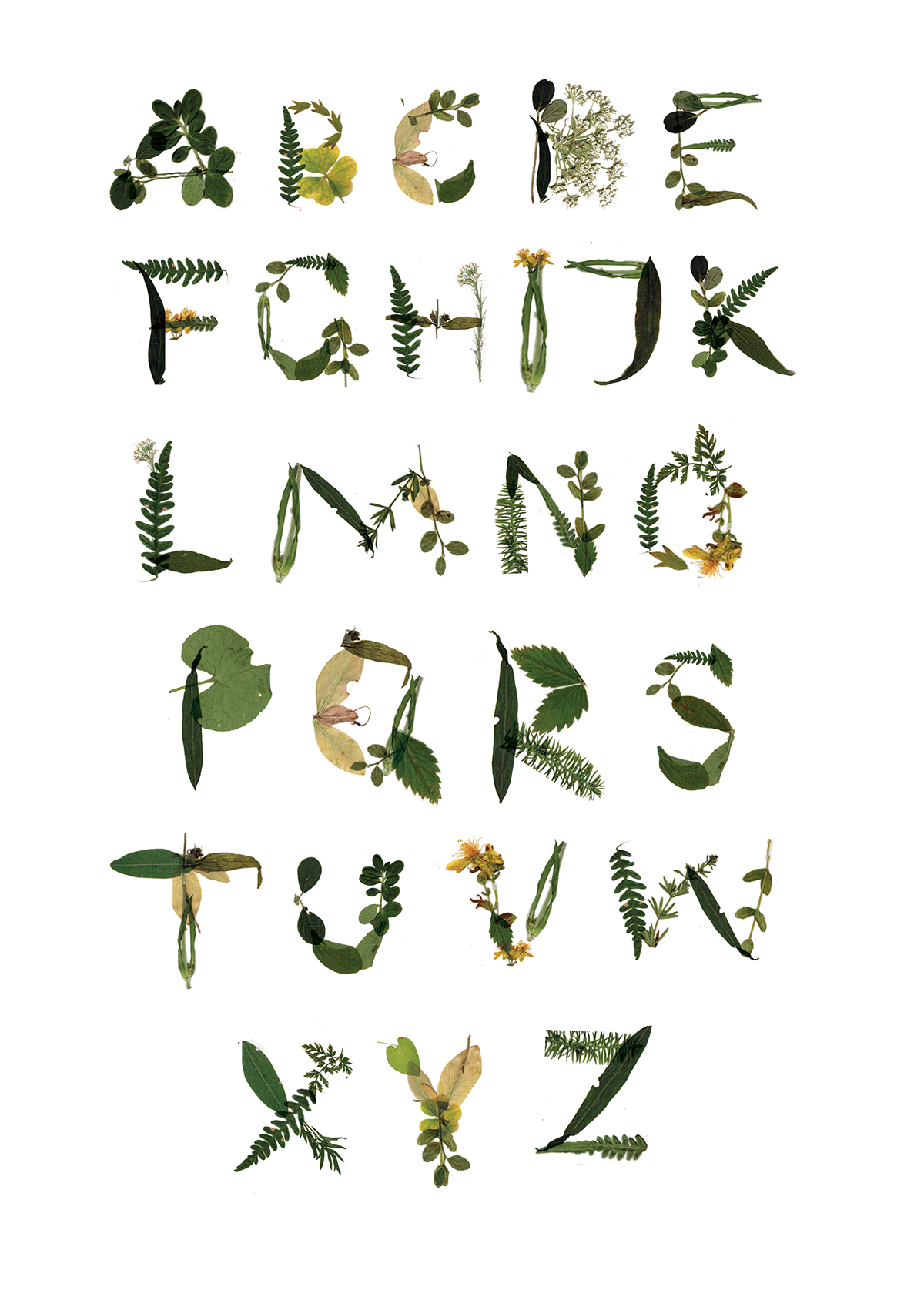 letterforms eco alphabet initial caps