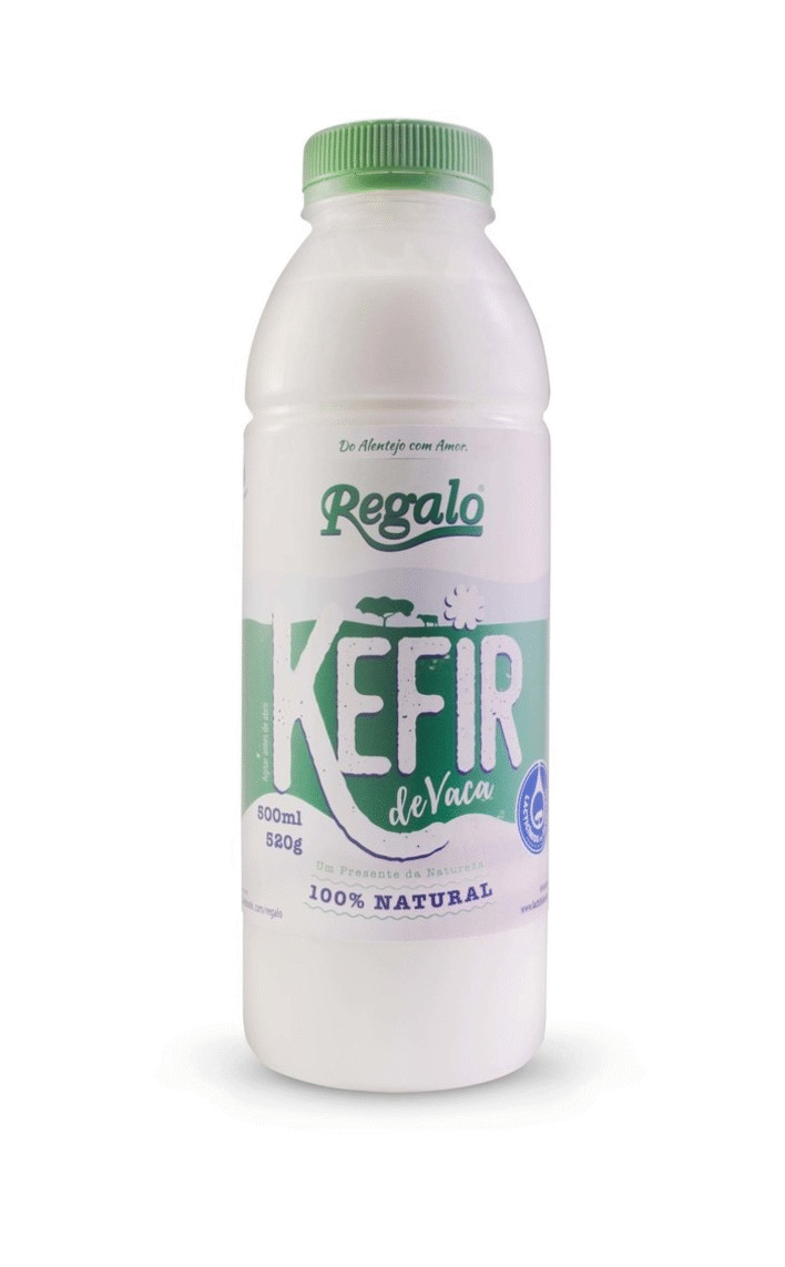 milk Kefir alentejo Portugal yeast probiotic Health yogurt