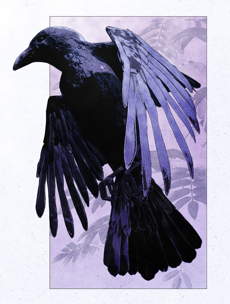 skeleton skull raven crow flower floral Colourful  comic surreal surrealistic
