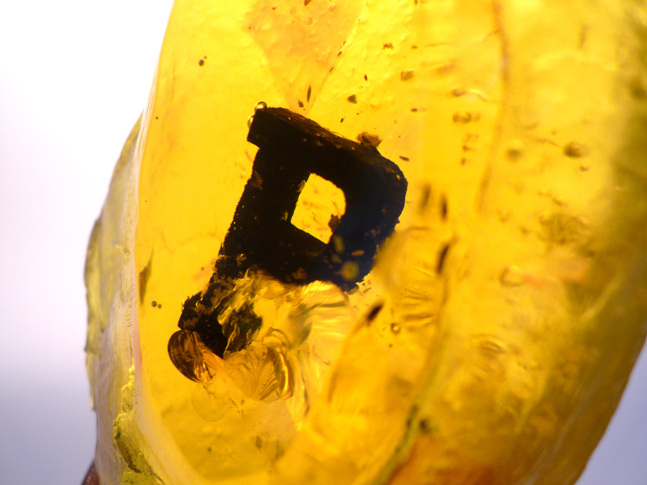 evolution of type 3D Type Experimental Typography Amber andreas scheiger polyester glass casting resin Anatomy of Type letters letter design conceptual typography letter sculpting amber inclusion