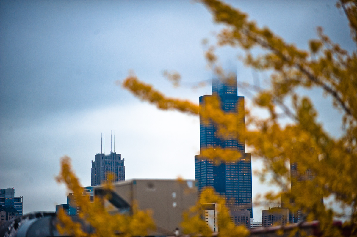 chicago  Fall  skyscapes