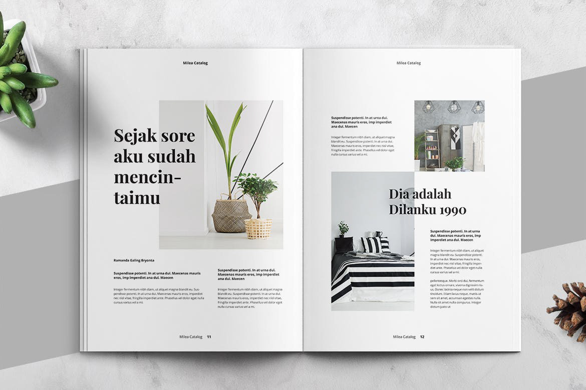 brochure catalog design free InDesign Layout magazine template typography  