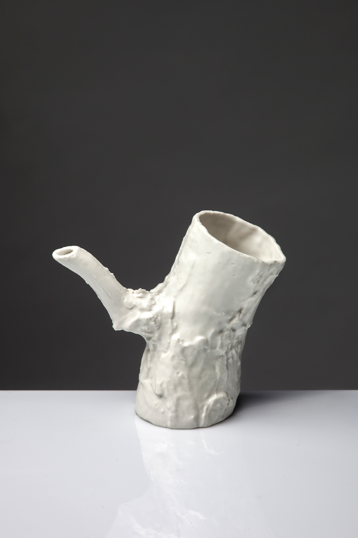 teapot porcelain Transformation Tree  Nature ceramics 