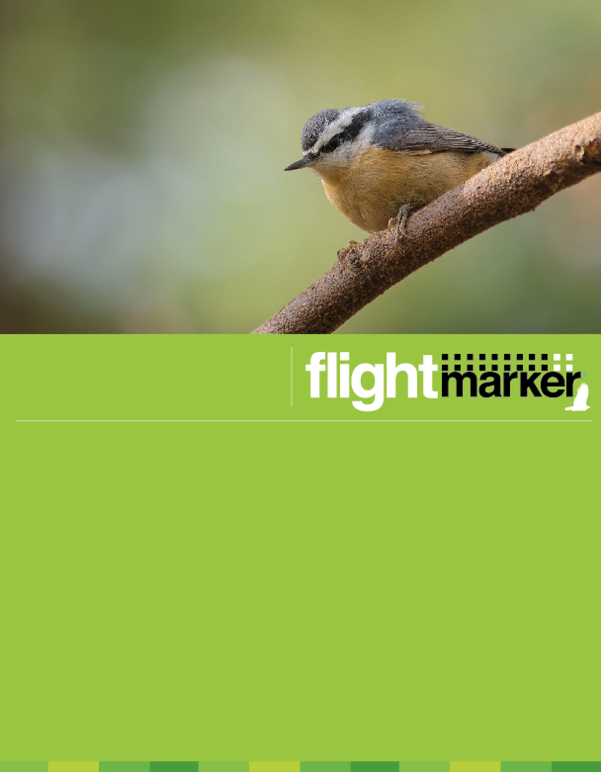 flight birds conservation