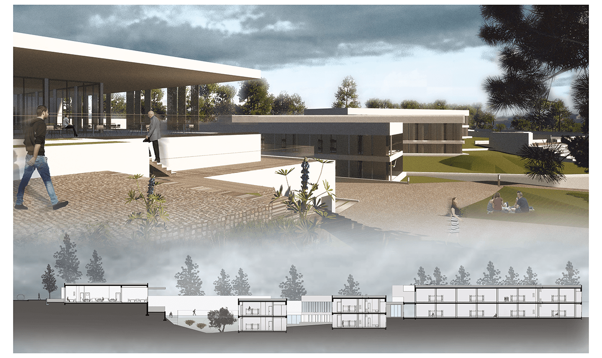 Render plans sports centre Competition visualisation architecture archviz