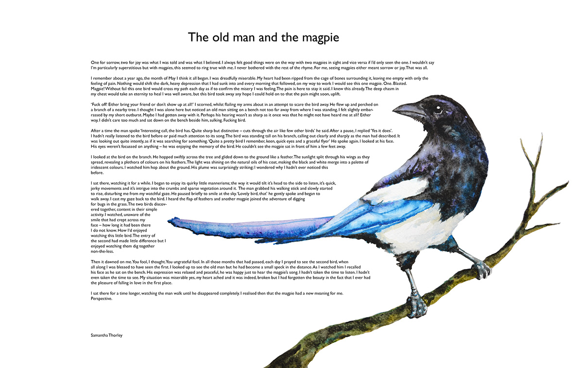 magpie story bird Love heartbreak Perspective