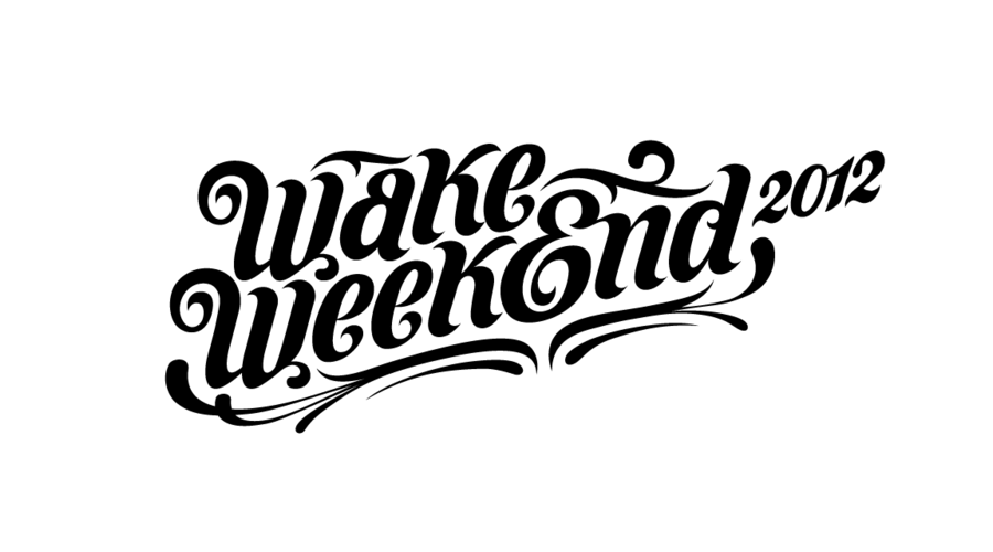 Custom lettering handwriting Logotype hand-drawn vector
