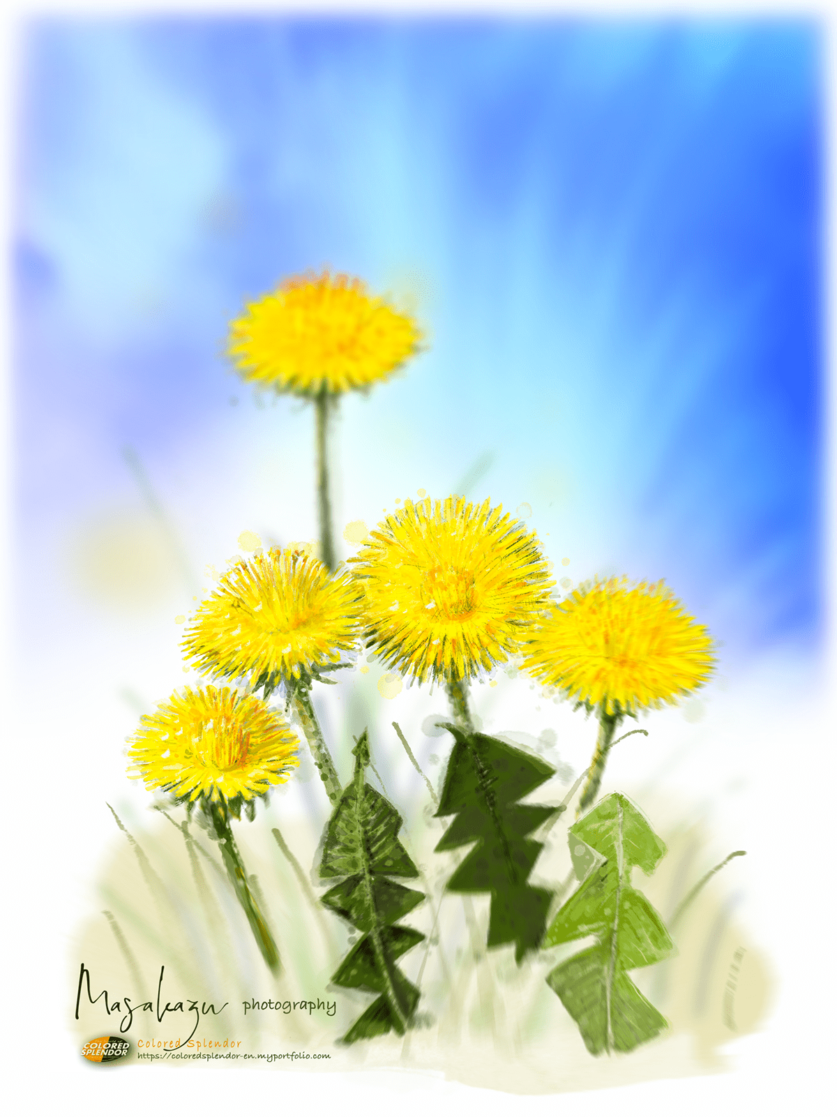 blossom blue freedom mimosa nowar peace Solidarity support ukraine yellow