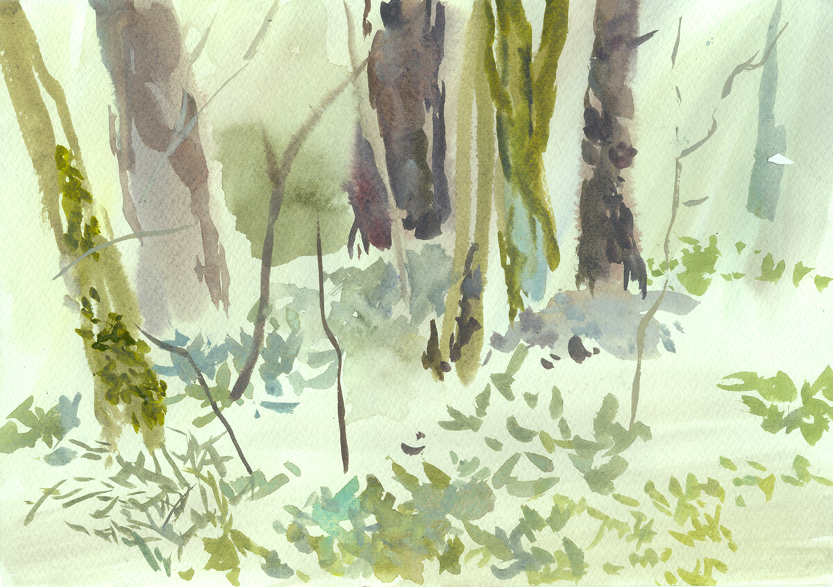 forest Landscape spring watercolor акварель весна лес пейзаж